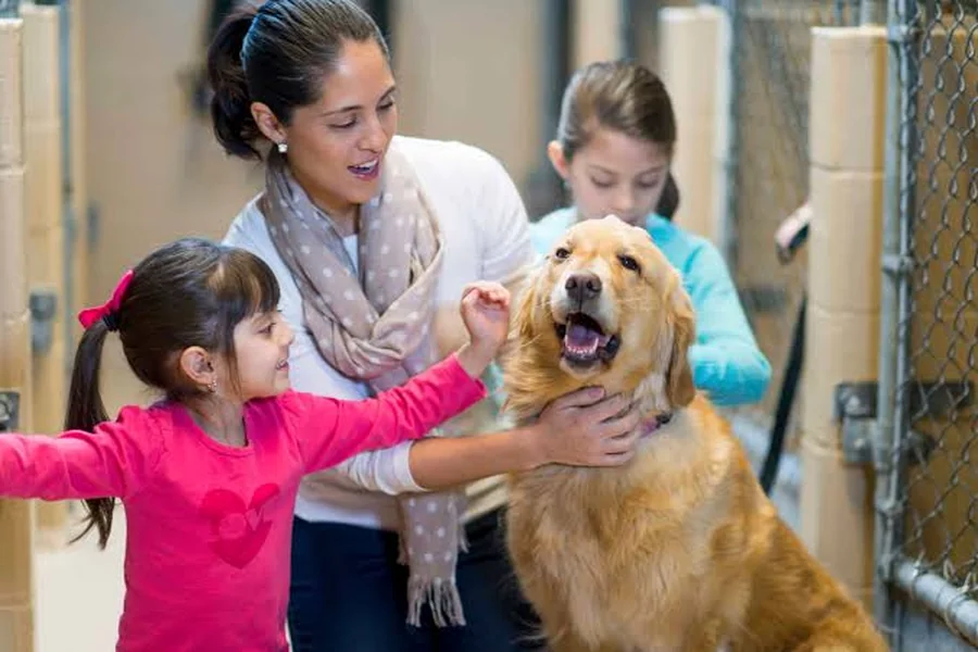 Veterinary Clinics